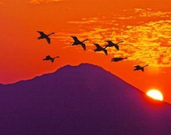 ϵĹȡɳ綯